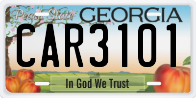 GA license plate CAR3101