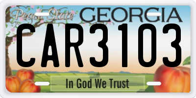 GA license plate CAR3103