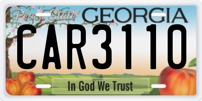 GA license plate CAR3110