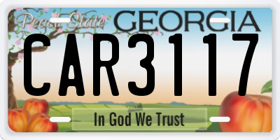 GA license plate CAR3117