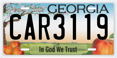 GA license plate CAR3119