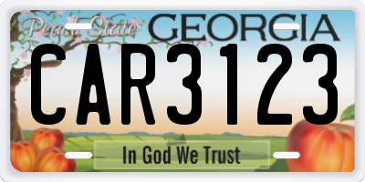 GA license plate CAR3123