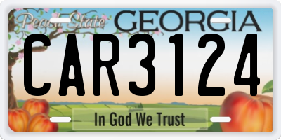 GA license plate CAR3124