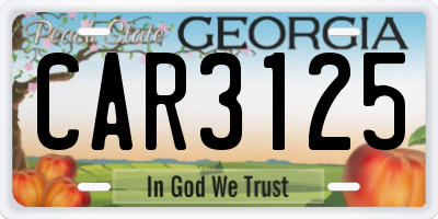 GA license plate CAR3125