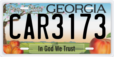 GA license plate CAR3173