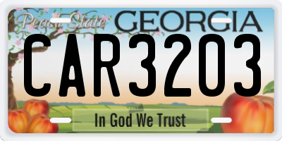 GA license plate CAR3203