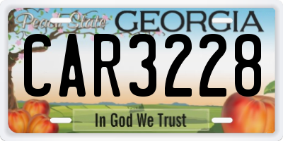 GA license plate CAR3228