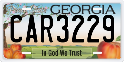 GA license plate CAR3229