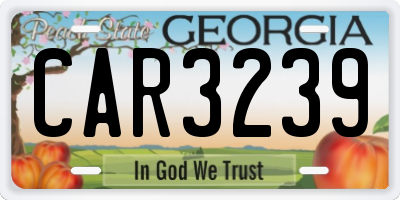 GA license plate CAR3239