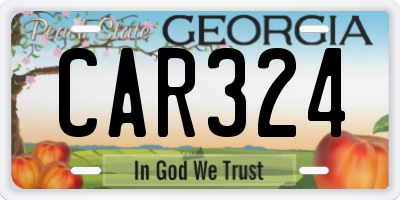 GA license plate CAR324