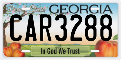 GA license plate CAR3288