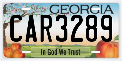 GA license plate CAR3289