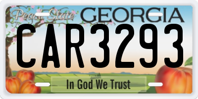 GA license plate CAR3293