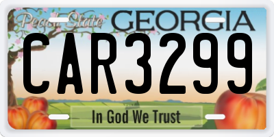 GA license plate CAR3299