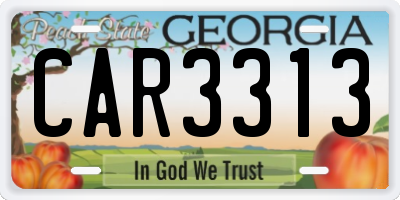 GA license plate CAR3313