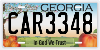 GA license plate CAR3348