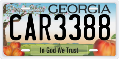 GA license plate CAR3388