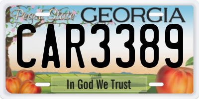 GA license plate CAR3389