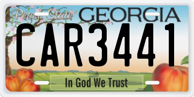 GA license plate CAR3441