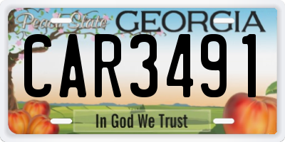 GA license plate CAR3491