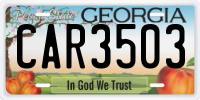 GA license plate CAR3503