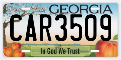 GA license plate CAR3509