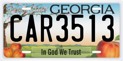 GA license plate CAR3513