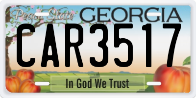 GA license plate CAR3517