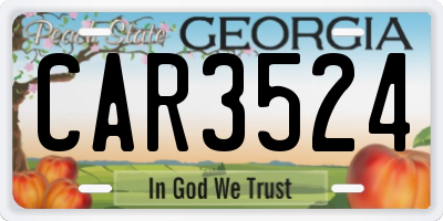 GA license plate CAR3524