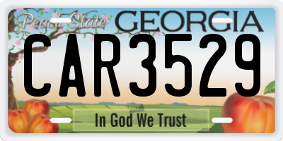 GA license plate CAR3529