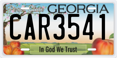 GA license plate CAR3541