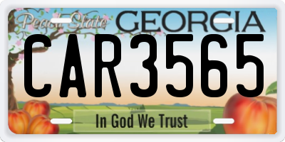 GA license plate CAR3565