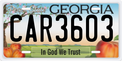 GA license plate CAR3603