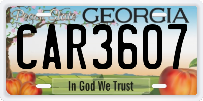 GA license plate CAR3607