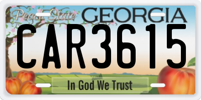 GA license plate CAR3615