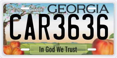 GA license plate CAR3636