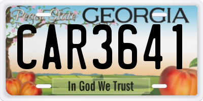 GA license plate CAR3641