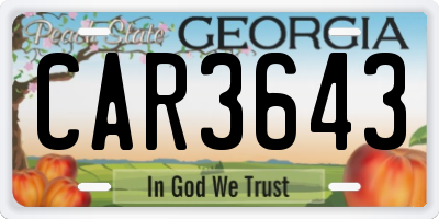 GA license plate CAR3643