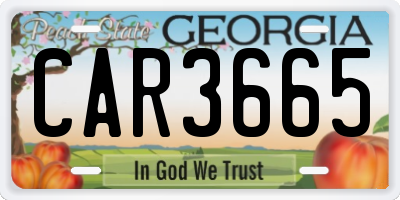 GA license plate CAR3665