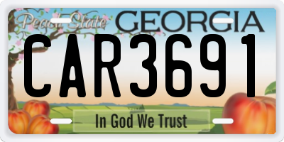 GA license plate CAR3691