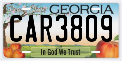 GA license plate CAR3809