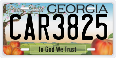 GA license plate CAR3825