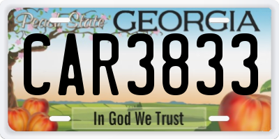 GA license plate CAR3833