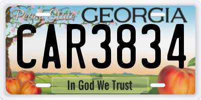 GA license plate CAR3834