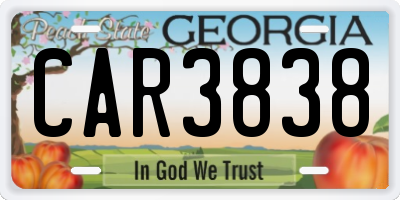 GA license plate CAR3838