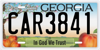 GA license plate CAR3841