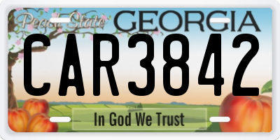 GA license plate CAR3842