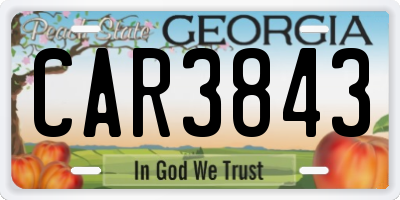 GA license plate CAR3843