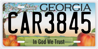 GA license plate CAR3845