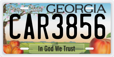 GA license plate CAR3856